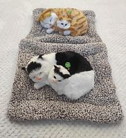 "Кошка с котенком" во Домодедово