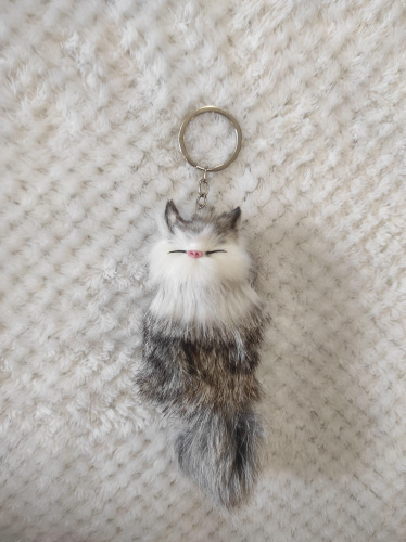 "Кот-брелок" во Домодедово фото 6