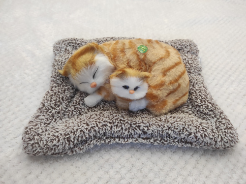 "Кошка с котенком" во Домодедово фото 3