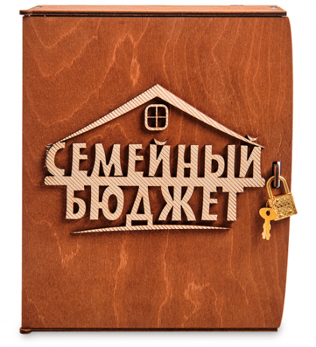Копилка "Семейный бюджет" во Домодедово фото 3