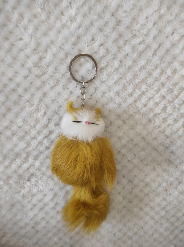 "Кот-брелок" во Домодедово фото 5